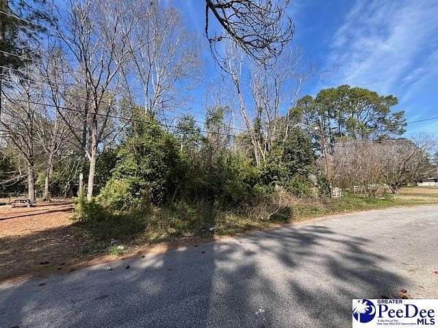 0.31 Acres of Residential Land for Sale in Bishopville, South Carolina