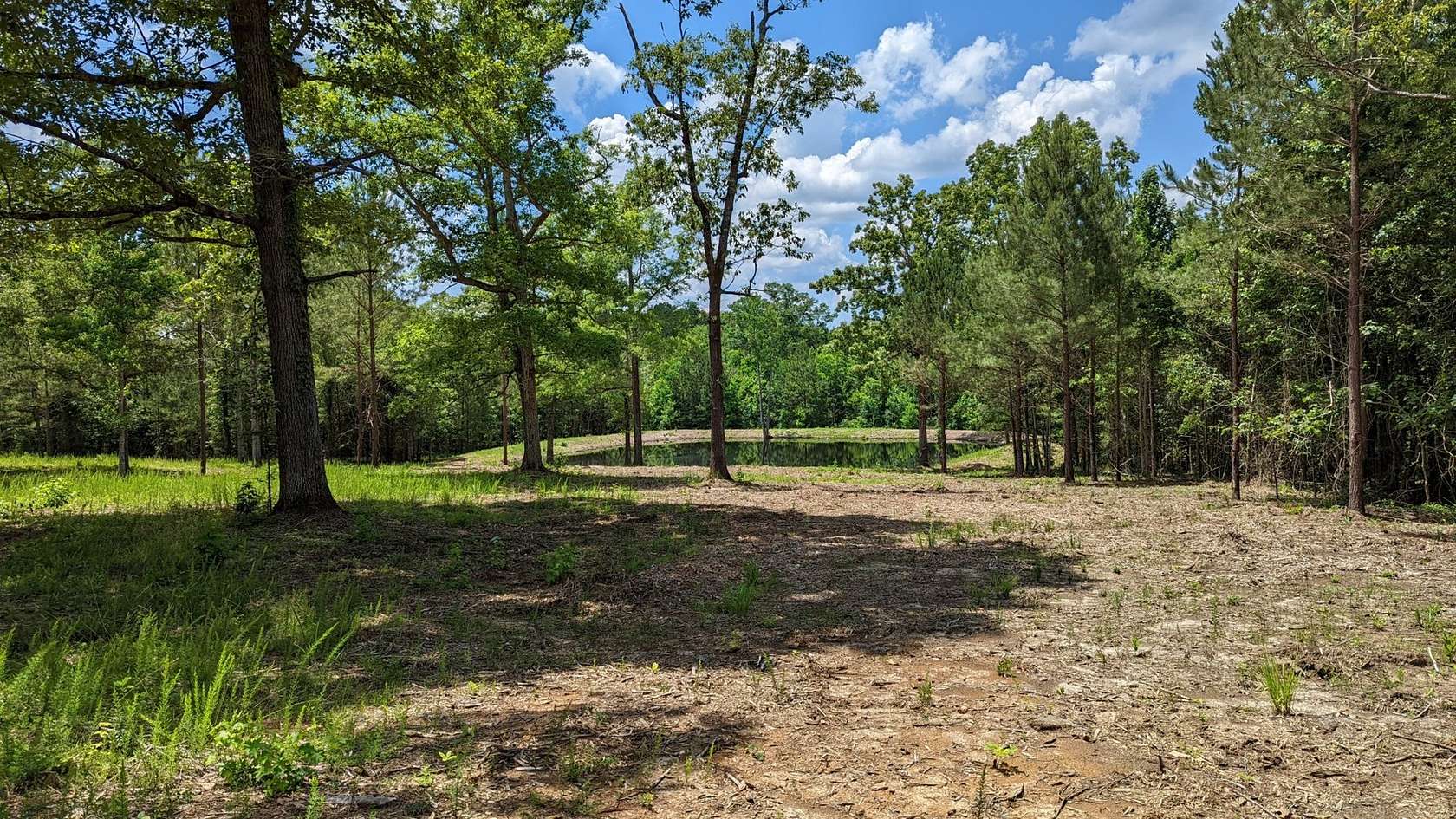 25 Acres of Land for Sale in Mathews, Alabama