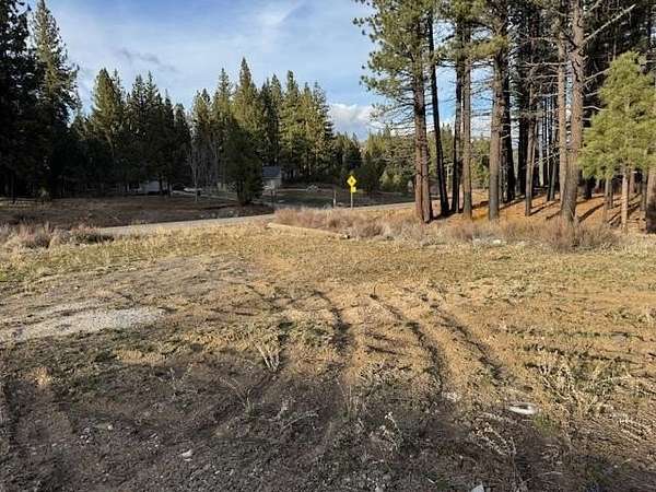 0.34 Acres of Commercial Land for Sale in Portola, California