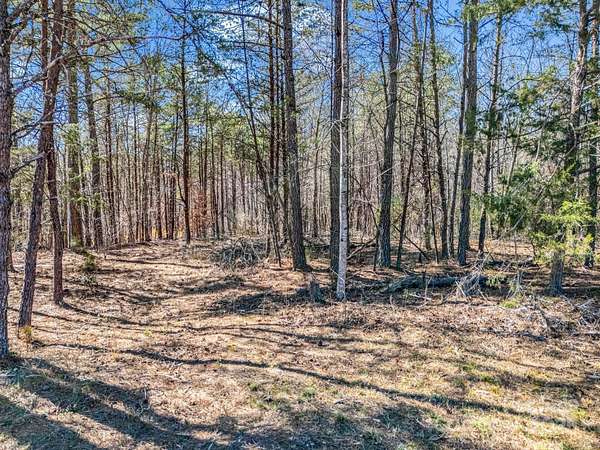 10 Acres of Agricultural Land for Sale in Rutherfordton, North Carolina