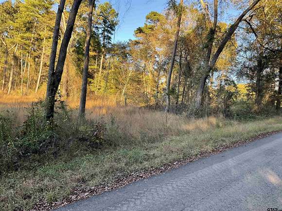 0.8 Acres of Residential Land for Sale in Tyler, Texas