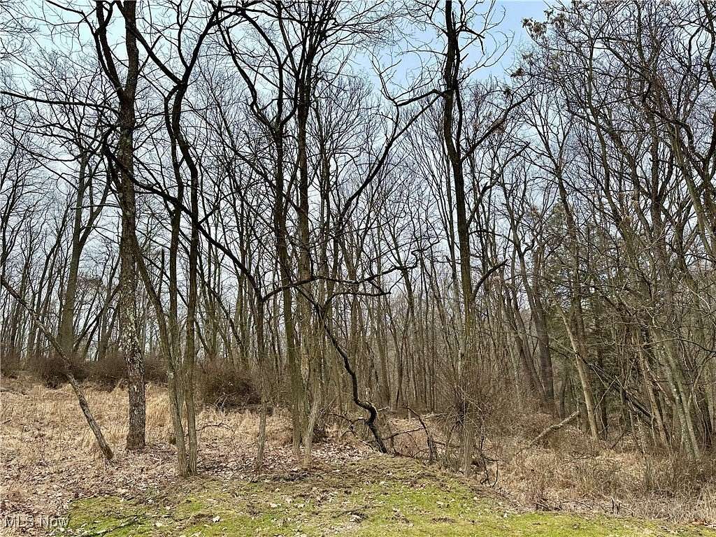 11.3 Acres of Land for Sale in Weirton, West Virginia
