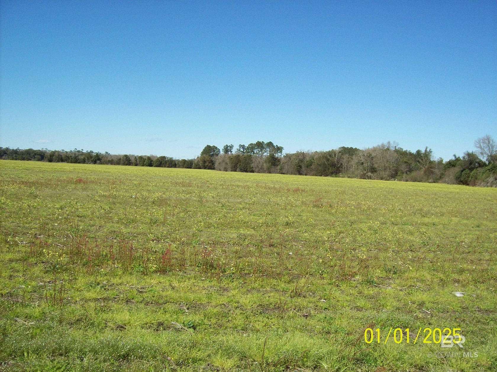 14.5 Acres of Land for Sale in Summerdale, Alabama