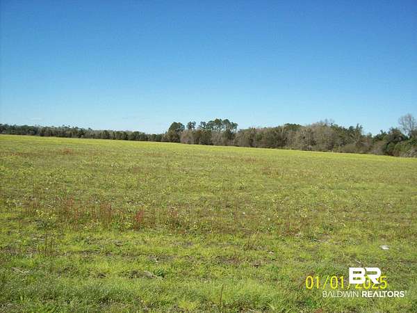 14.5 Acres of Agricultural Land for Sale in Summerdale, Alabama