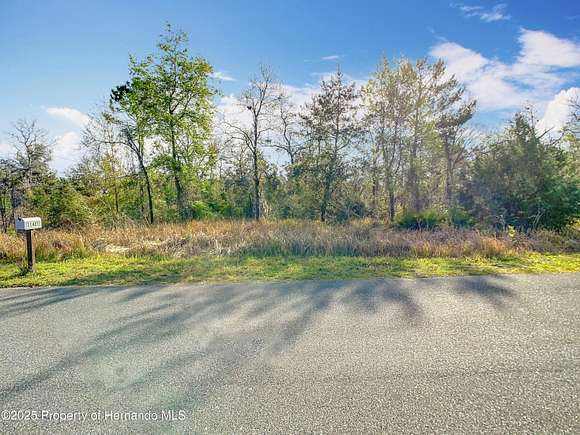 3.9 Acres of Residential Land for Sale in Weeki Wachee, Florida