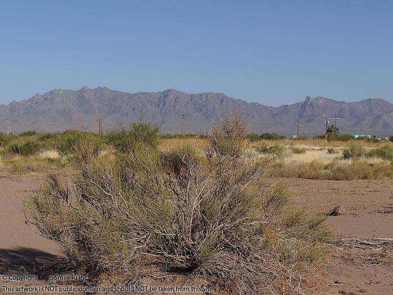 2.5 Acres of Residential Land for Sale in Deming, New Mexico