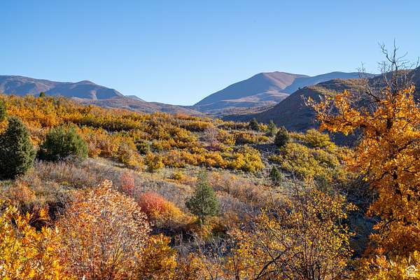 50 Acres of Recreational Land for Sale in Springville, Utah