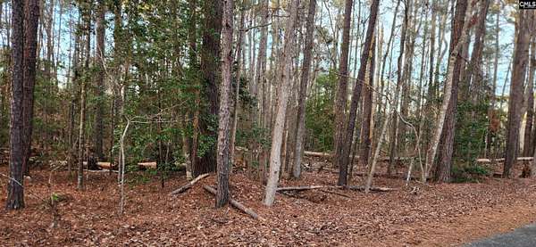 2 Acres of Residential Land for Sale in Hopkins, South Carolina