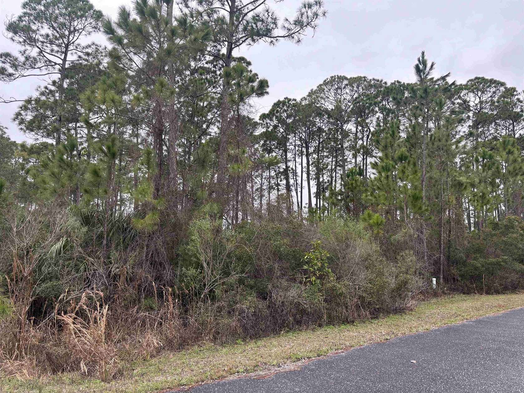 1 Acre of Residential Land for Sale in Panacea, Florida