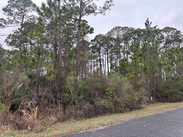 1 Acre of Residential Land for Sale in Panacea, Florida