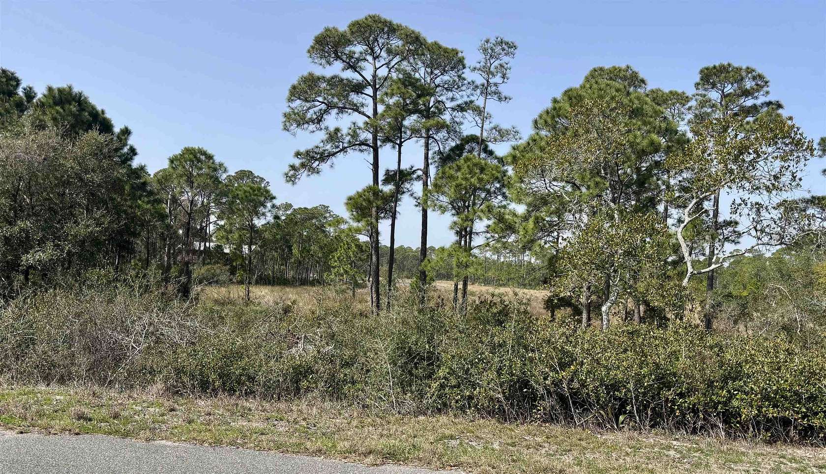 0.38 Acres of Residential Land for Sale in Panacea, Florida