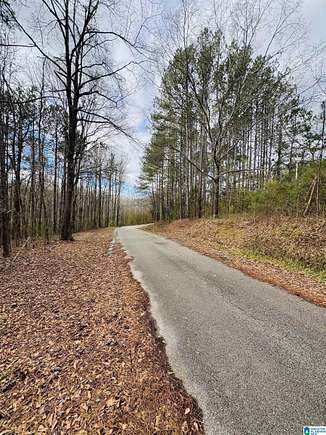 11 Acres of Land for Sale in Chelsea, Alabama