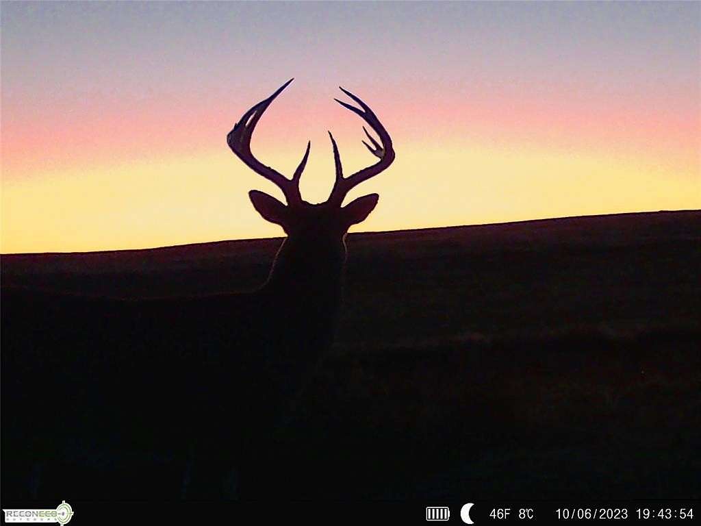 164 Acres of Land for Sale in Hooker, Oklahoma