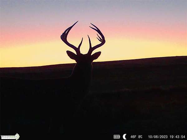 241 Acres of Recreational Land & Farm for Sale in Hooker, Oklahoma