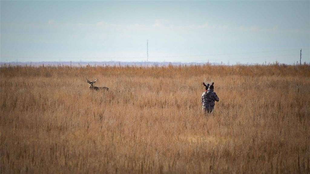 564 Acres of Land for Sale in Hooker, Oklahoma