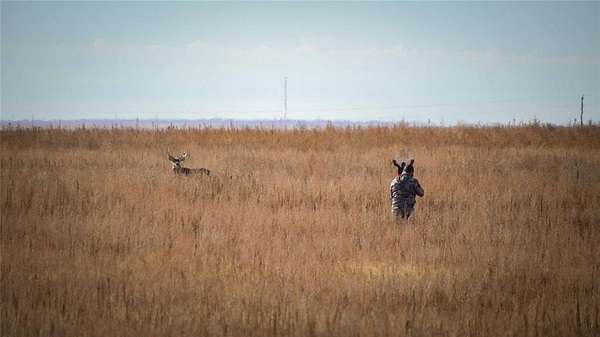 564 Acres of Land for Sale in Hooker, Oklahoma