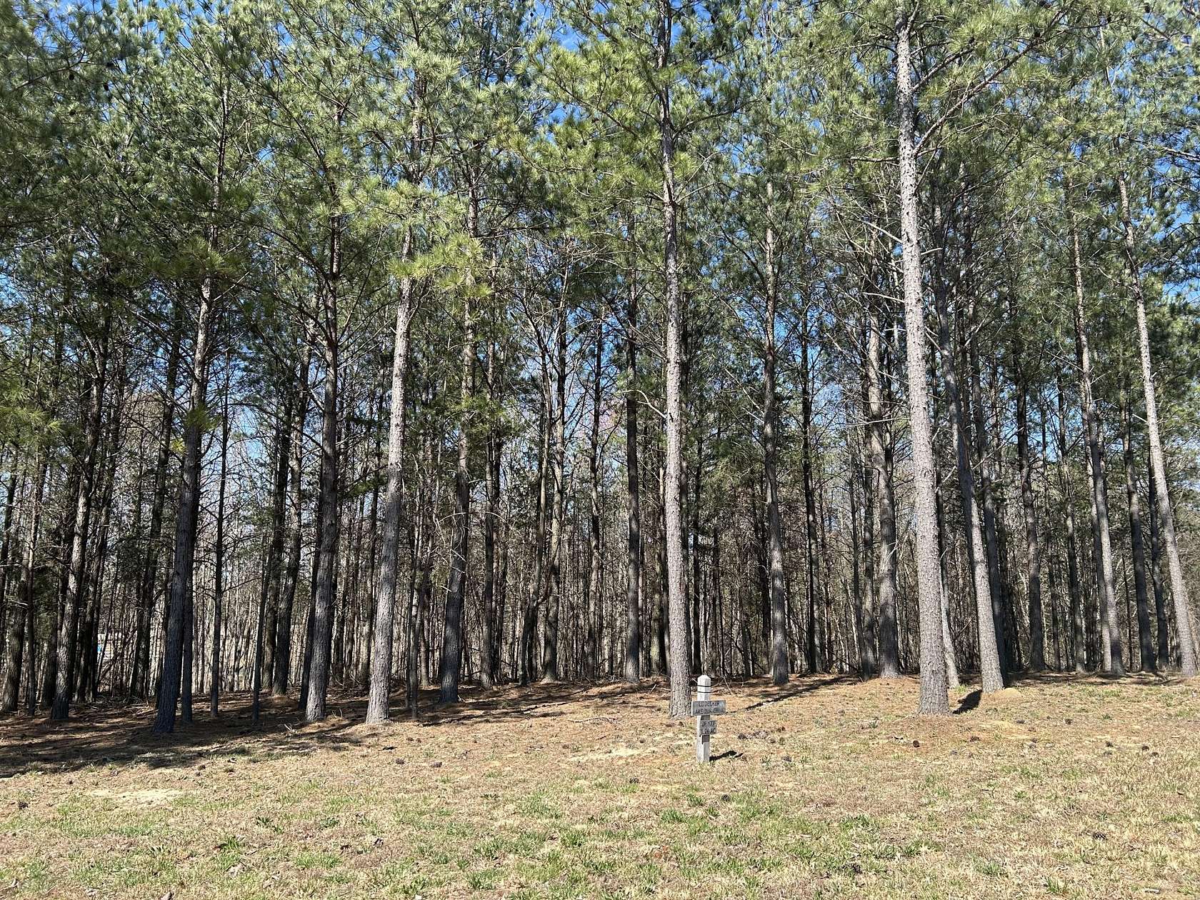 1.26 Acres of Residential Land for Sale in Jasper, Tennessee