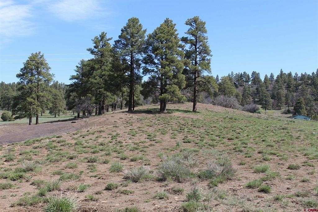 10 Acres of Agricultural Land for Sale in Pagosa Springs, Colorado