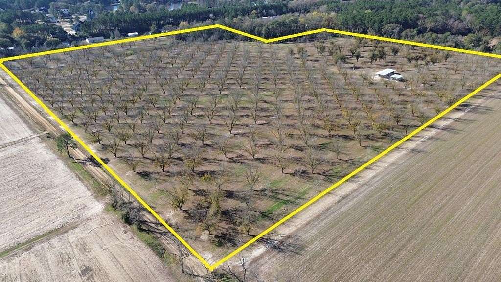 47.8 Acres of Mixed-Use Land for Sale in Thomasville, Georgia