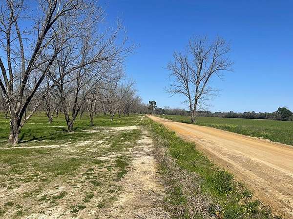 47.8 Acres of Mixed-Use Land for Sale in Thomasville, Georgia