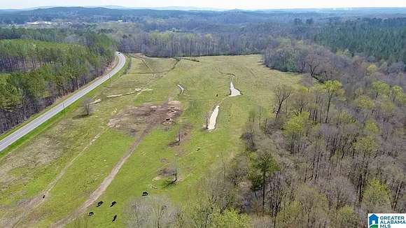 39.3 Acres of Land for Sale in Columbiana, Alabama