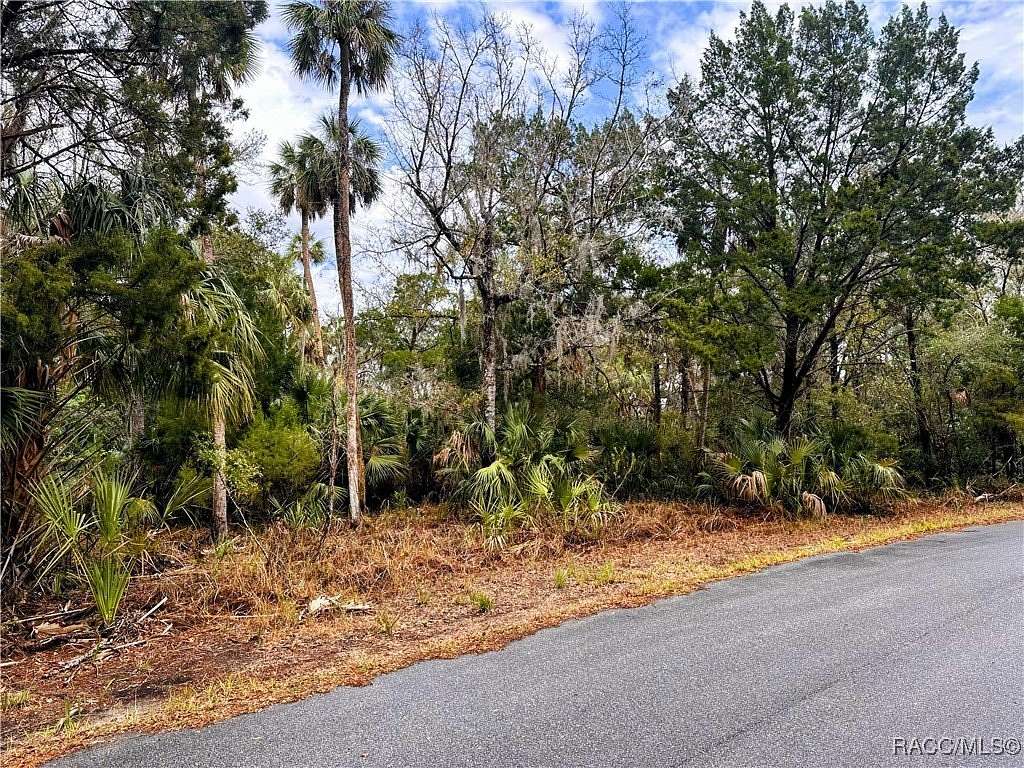 0.41 Acres of Residential Land for Sale in Homosassa, Florida