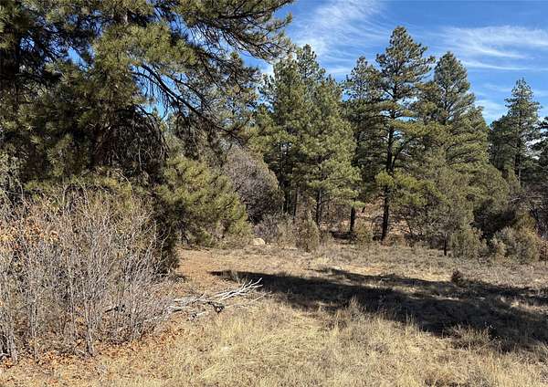 10.9 Acres of Land for Sale in Tierra Amarilla, New Mexico