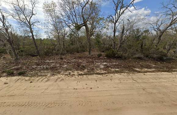 0.22 Acres of Residential Land for Sale in Interlachen, Florida