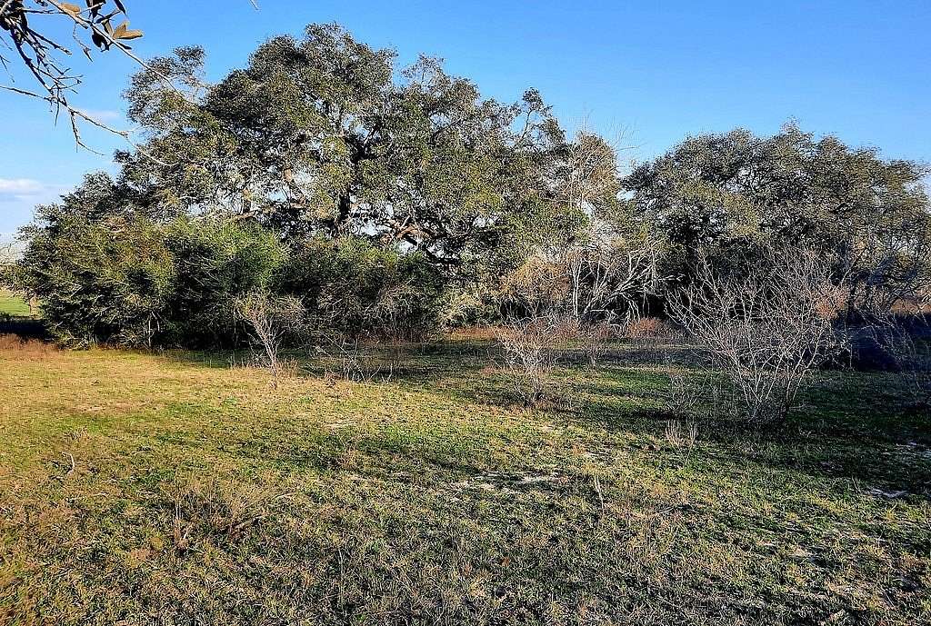 21 Acres of Agricultural Land for Sale in Hallettsville, Texas