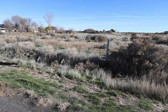 21 Acres of Agricultural Land for Sale in Bliss, Idaho