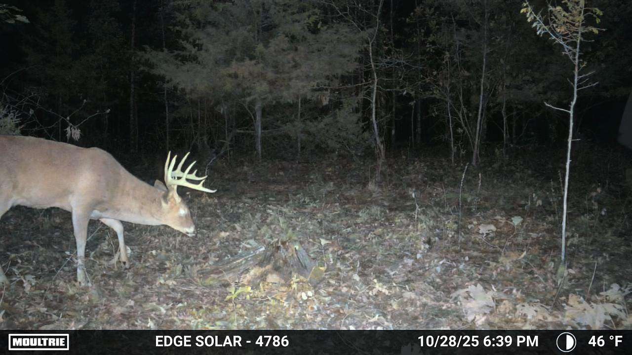 180 Acres of Recreational Land for Sale in Willow Springs, Missouri