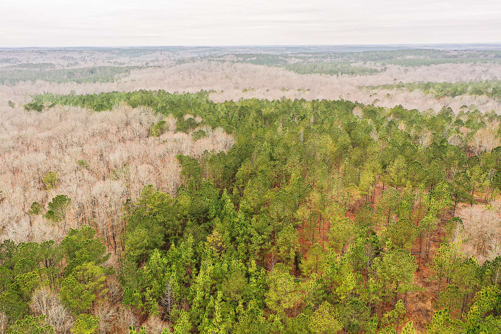 1,870 Acres of Land for Sale in Franklin, Georgia