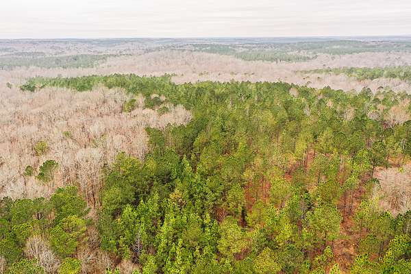 1,870 Acres of Land for Sale in Franklin, Georgia