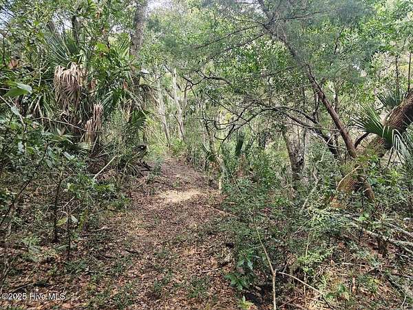 0.39 Acres of Residential Land for Sale in Bald Head Island, North Carolina