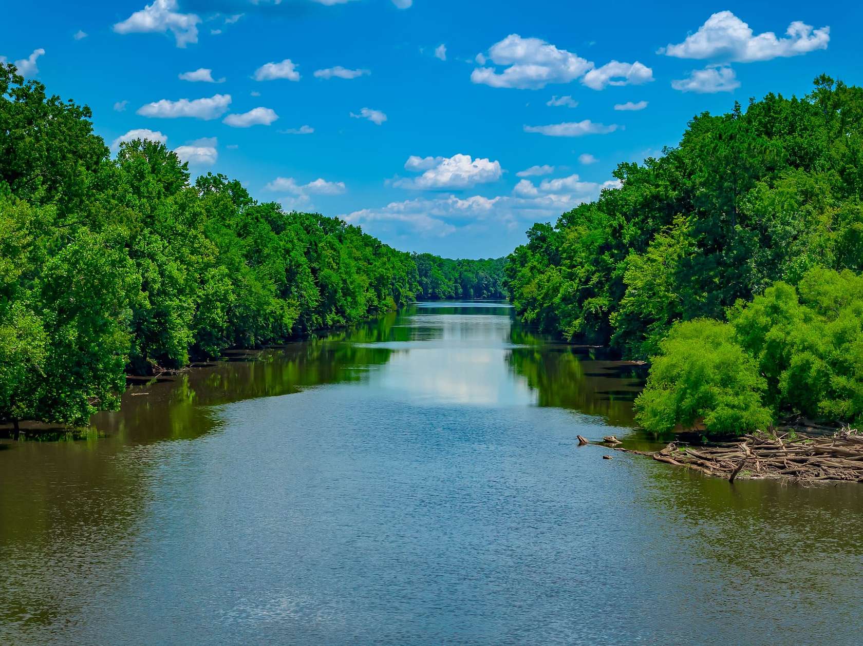 1,496 Acres of Recreational Land for Sale in Currie, North Carolina