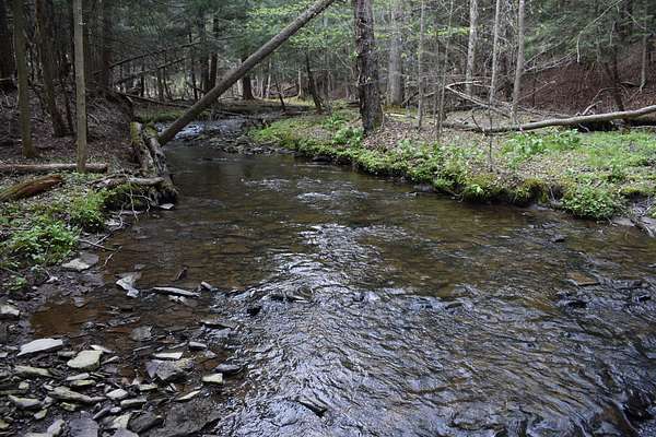 150 Acres of Recreational Land for Sale in Spring Creek, Pennsylvania