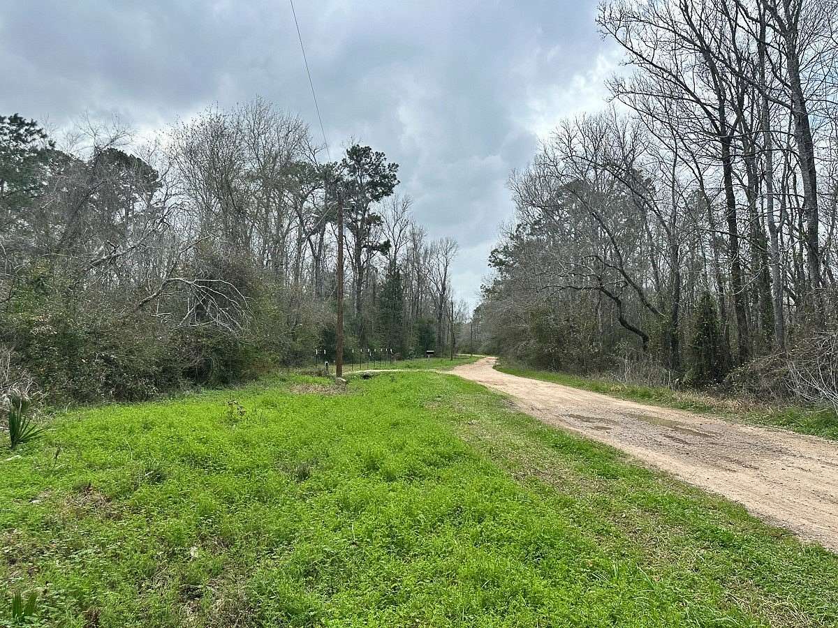 Land for Sale in Conroe, Texas