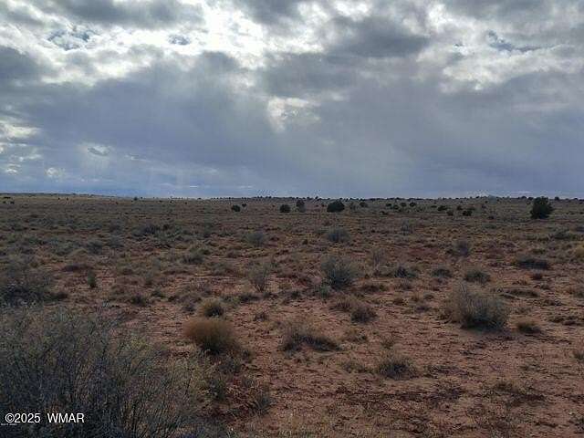 40.6 Acres of Recreational Land for Sale in Snowflake, Arizona