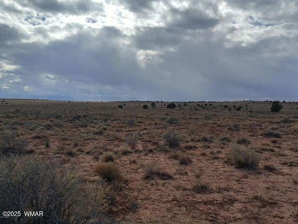 40.6 Acres of Recreational Land for Sale in Snowflake, Arizona