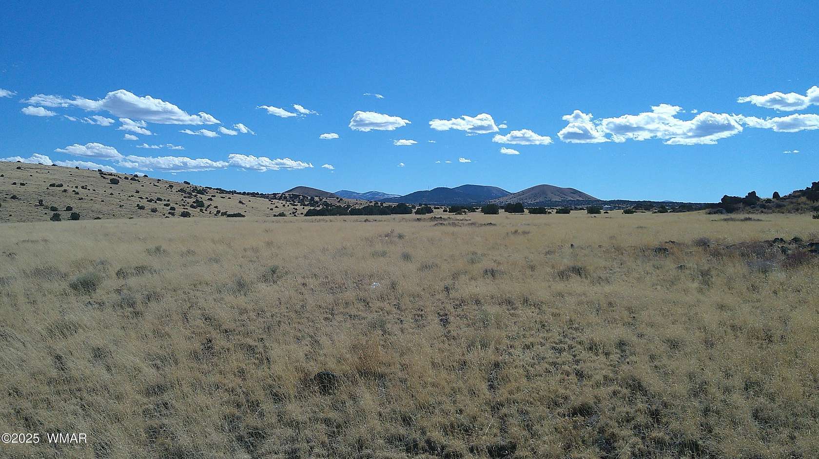 50 Acres of Recreational Land for Sale in Concho, Arizona