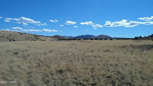 50 Acres of Recreational Land for Sale in Concho, Arizona