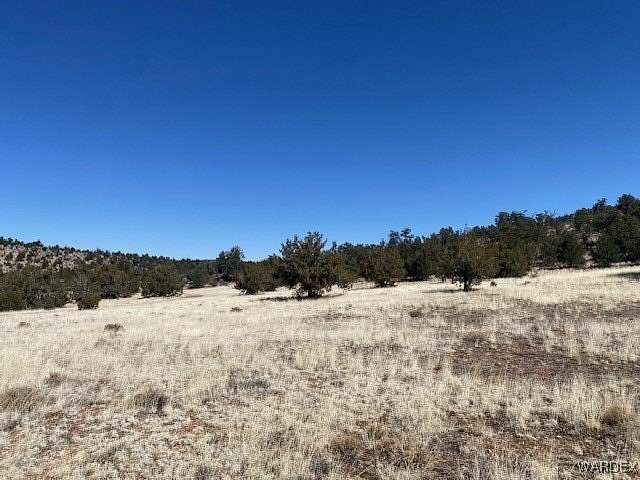 80 Acres of Recreational Land for Sale in Peach Springs, Arizona