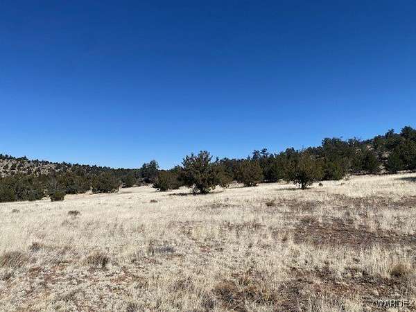 80 Acres of Recreational Land for Sale in Peach Springs, Arizona