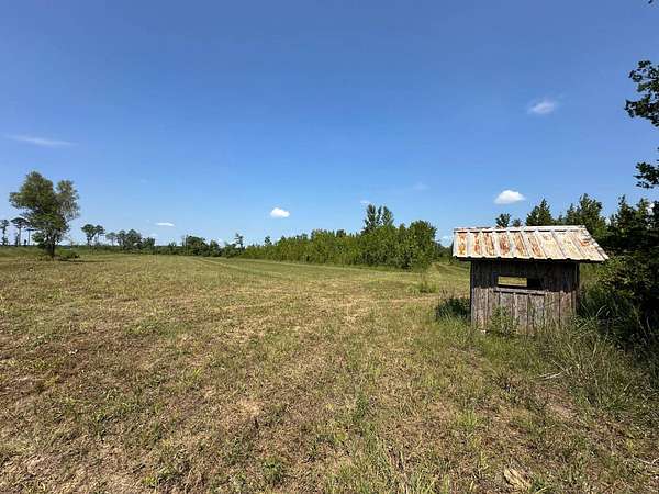 713 Acres of Recreational Land for Sale in Brandon, Mississippi