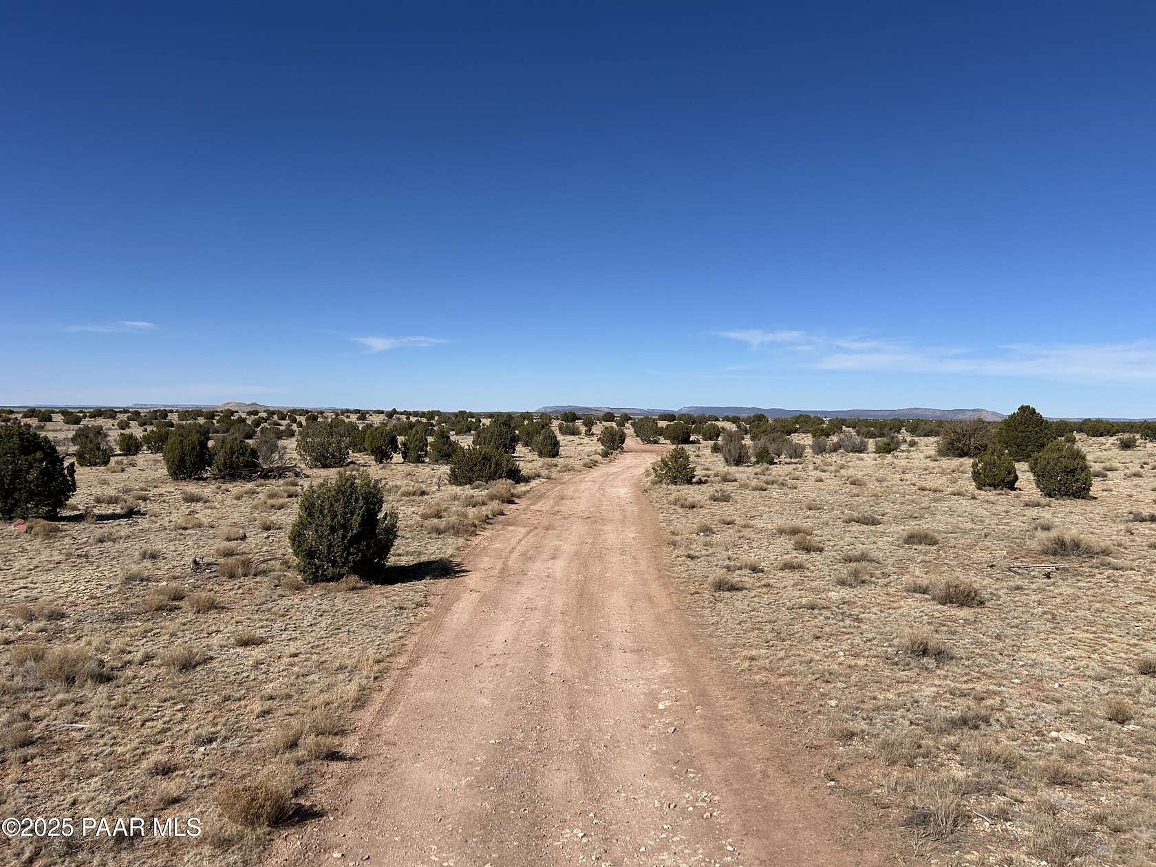40 Acres of Land for Sale in Seligman, Arizona