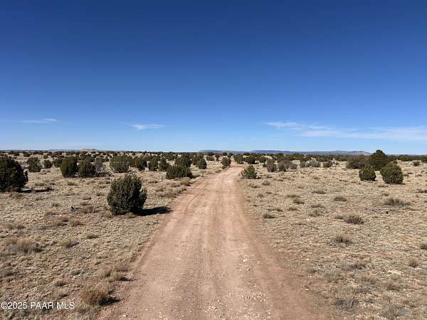 40 Acres of Land for Sale in Seligman, Arizona