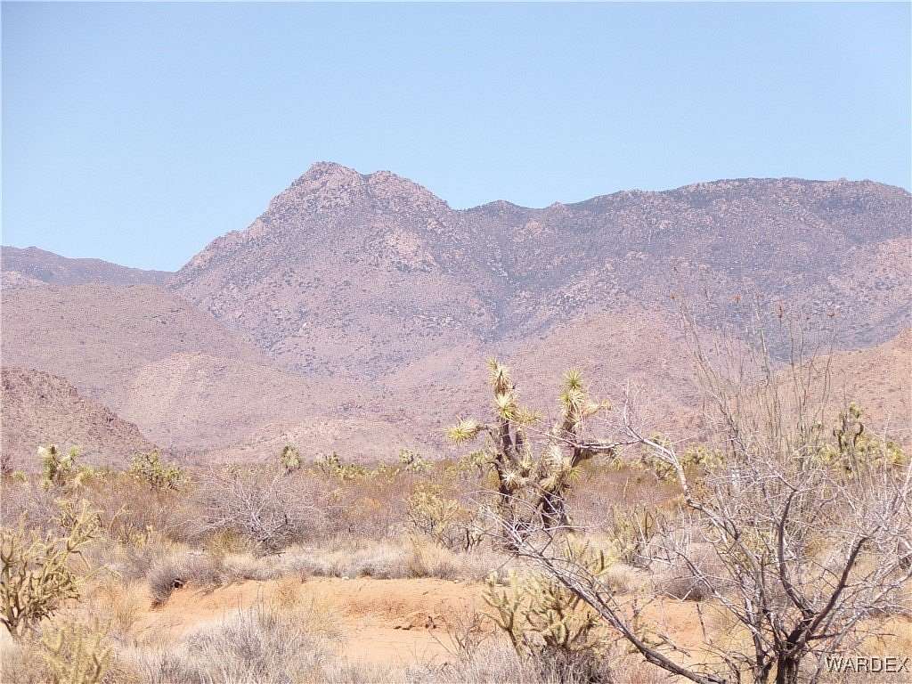 40 Acres of Recreational Land & Farm for Sale in Yucca, Arizona