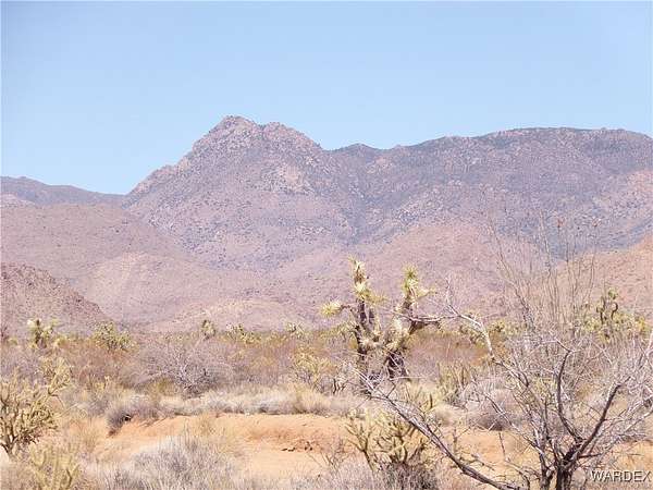 40 Acres of Recreational Land & Farm for Sale in Yucca, Arizona