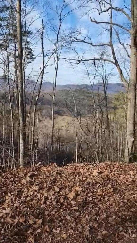2 Acres of Residential Land for Sale in Franklin, North Carolina