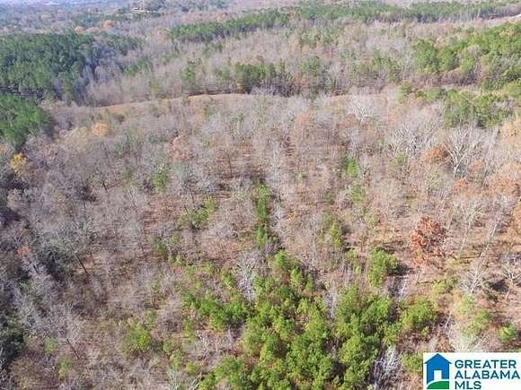 24.6 Acres of Recreational Land for Sale in Alpine, Alabama